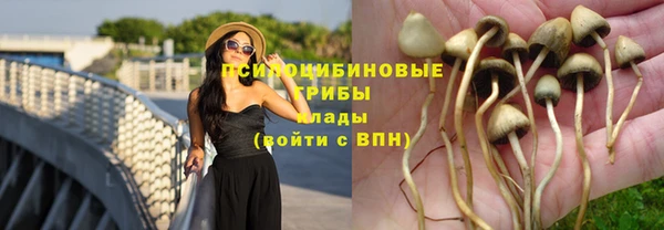 дурь Богданович