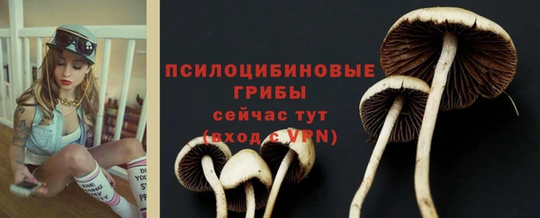 a pvp Богородск
