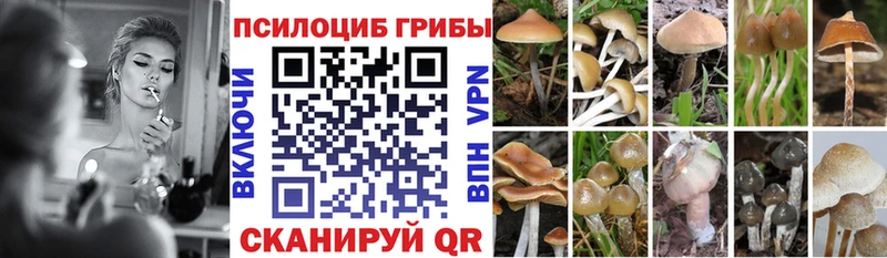 Галлюциногенные грибы ЛСД  Каневская 